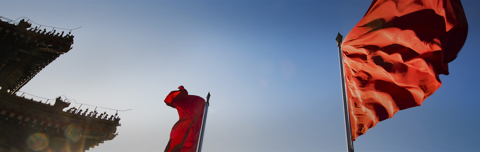party_banner